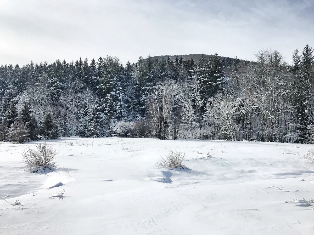 snow.jpg