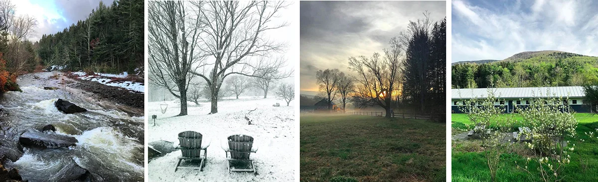 winter spring.jpg
