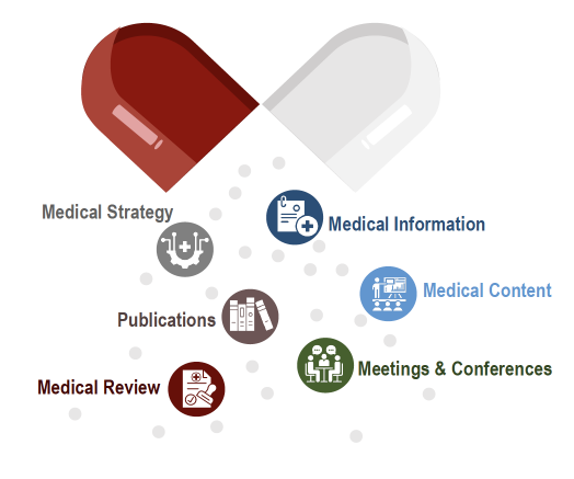 An infographic showing a pill capsule-shaped graphic with sections labeled Medical Strategy, Medical Information, Medical Content, Publications, Medical Review, and Meetings & Conferences, representing different aspects of medical and healthcare information.