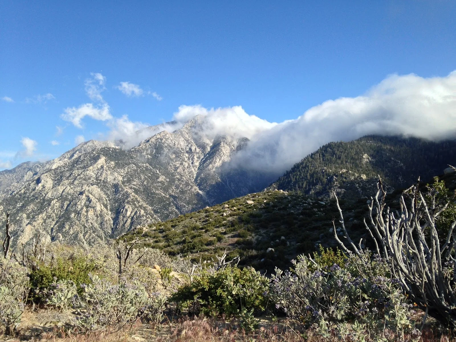 Mount San Jacinto