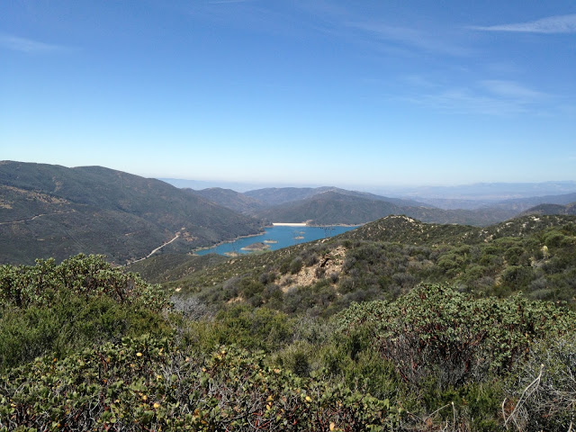 If only I could glide down there
