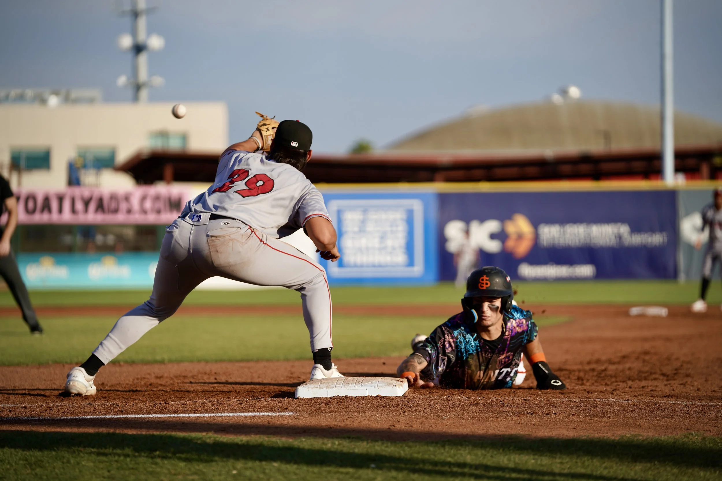 (Photos) The Dog Days of August at San Jose Municipal 