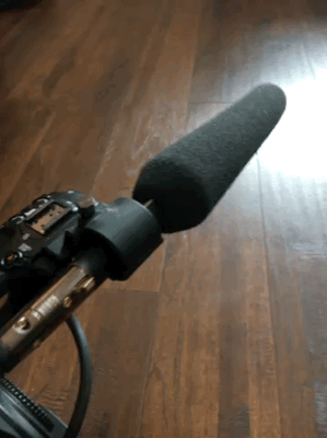 temp.gif