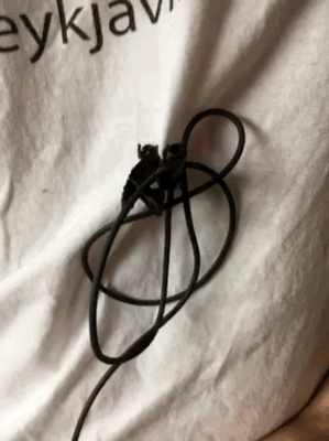 temp-1.gif