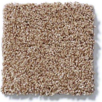 carpet swatch 2 .jpeg