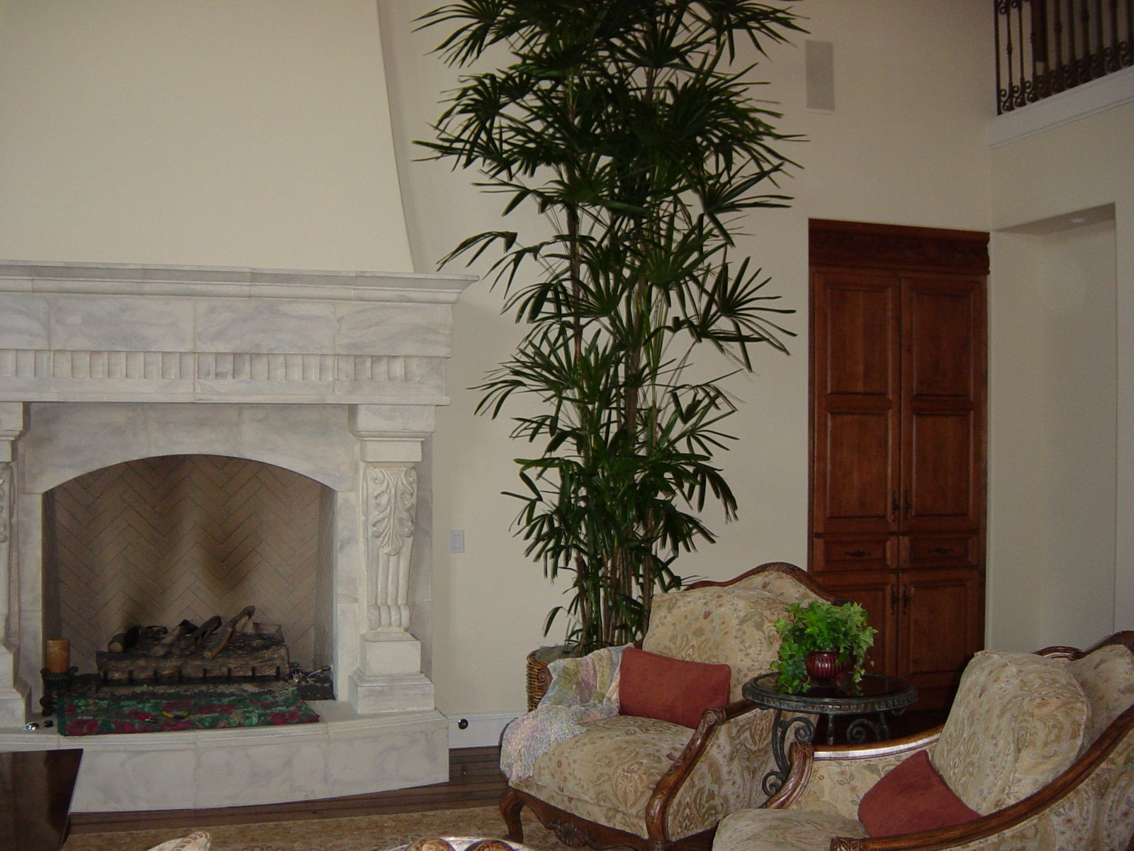 Fireplace Palm Estate image.JPG