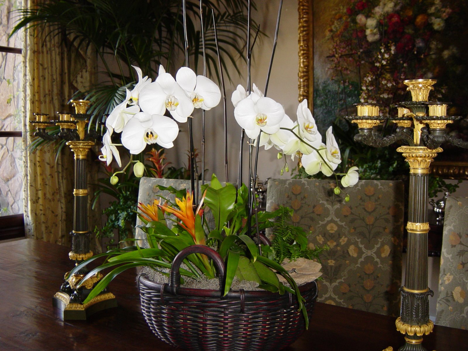 Orchid Estate image.JPG