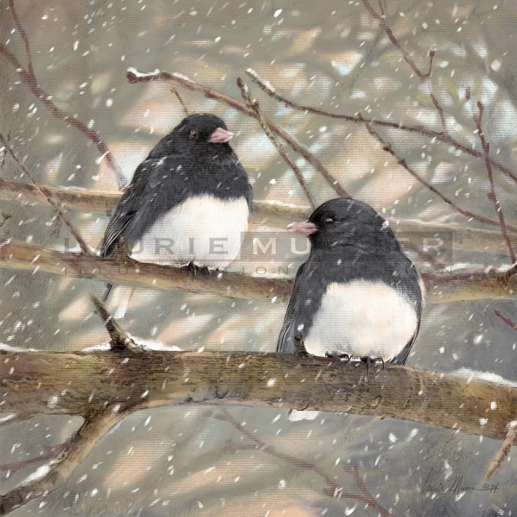 First Snow Dark-eyed Juncos 16" x 16" 14-0923 *Recieved Honorable Mention at 2015 Lodi Show - Lodi, Oh Buy Now! -other sizes available