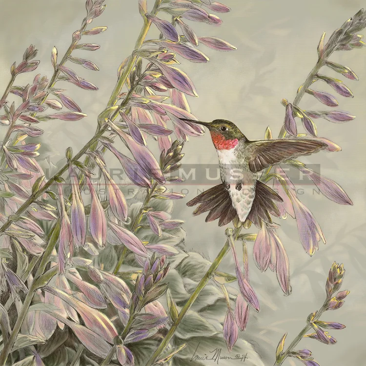 Ruby-Throated Hummingbird 16" x 16" 14-1229 Buy Now! -other sizes available