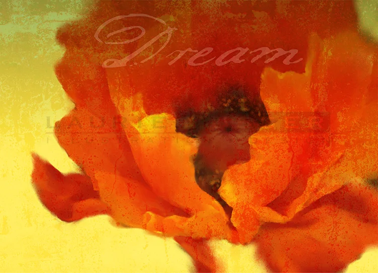 Dream 012-0304 18" x 13" 300ppi