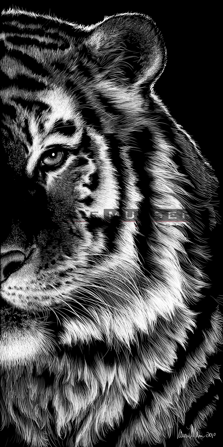 “Amur” 010-0228 10" x 20" Buy now! Full face also available