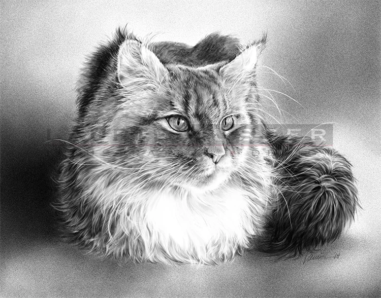   Crazy Whiskers &nbsp;&nbsp; 11.5" x 9.5" Graphite&nbsp;&nbsp; 014-0206&nbsp;&nbsp; AVAILABLE FOR LICENSING 