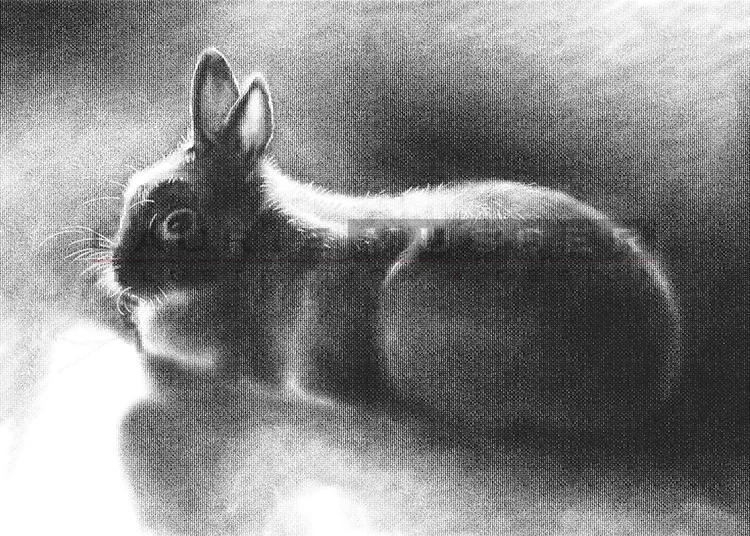   Baby Blu &nbsp;&nbsp; 10 x 8"&nbsp;&nbsp; Charcoal&nbsp;&nbsp; 011-0428&nbsp;&nbsp; AVAILABLE FOR LICENSE 