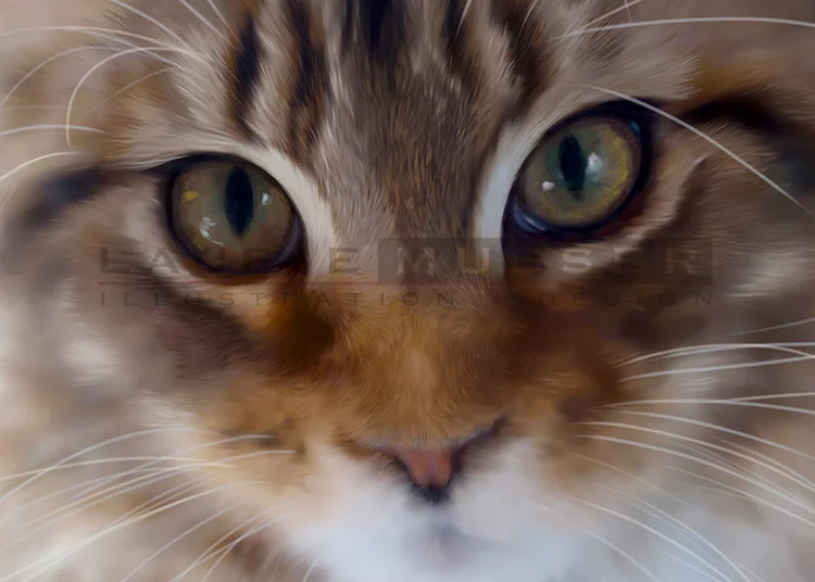   Maine Coon &nbsp;&nbsp; 32 x 24" Oil &nbsp; 012-0118 &nbsp; AVAILABLE FOR LICENSE 