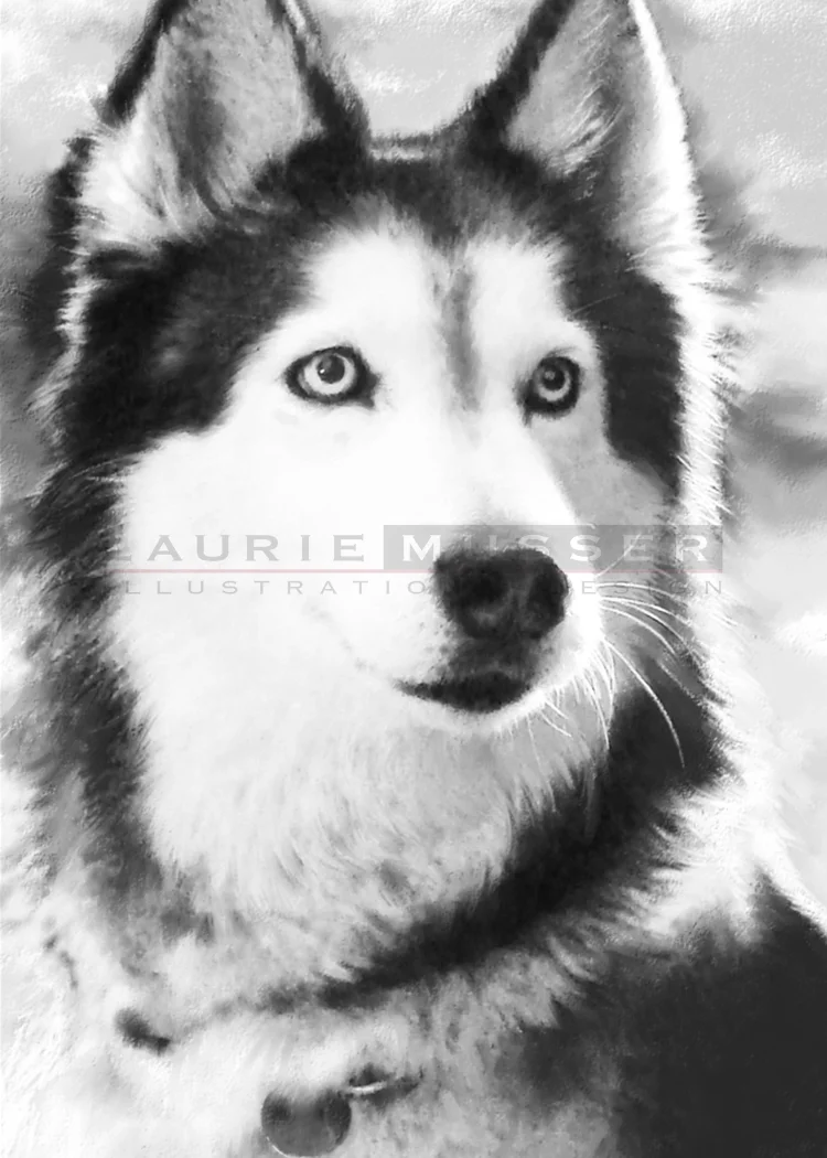   Tasha&nbsp;&nbsp;  16 x 30" Charcoal&nbsp;&nbsp; 009-0215 AVAILABLE FOR LICENSE 