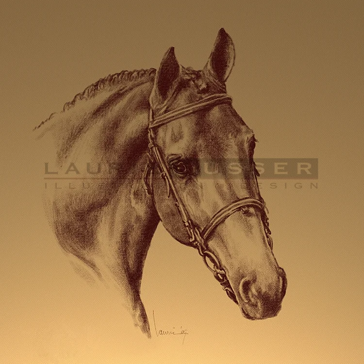 Achilles 10 x 10" Colored Pencil 009-1210 AVAILABLE FOR LICENCE 