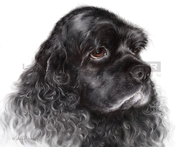   Stormy &nbsp;&nbsp; 10 x 8" Colored Pencil 