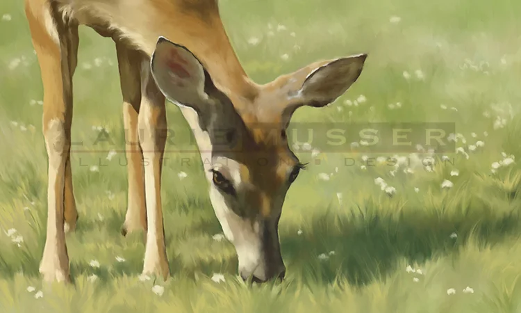 Spring Buck 24 x 14" Oil 09-1202 Buy now! -other sizes available
