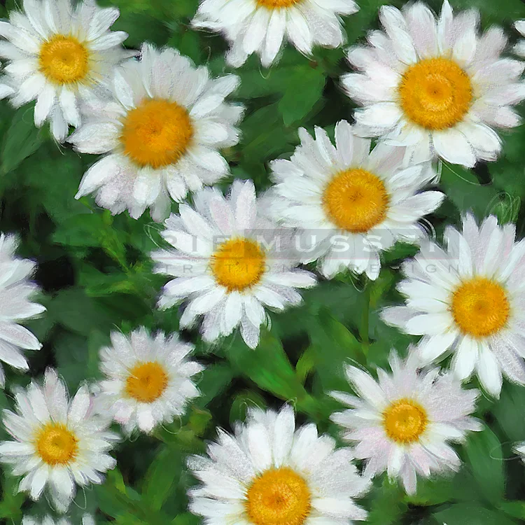Spring Daisy 7.5 x 7.5" *Repeat Ready Available for licensing 11-1206 