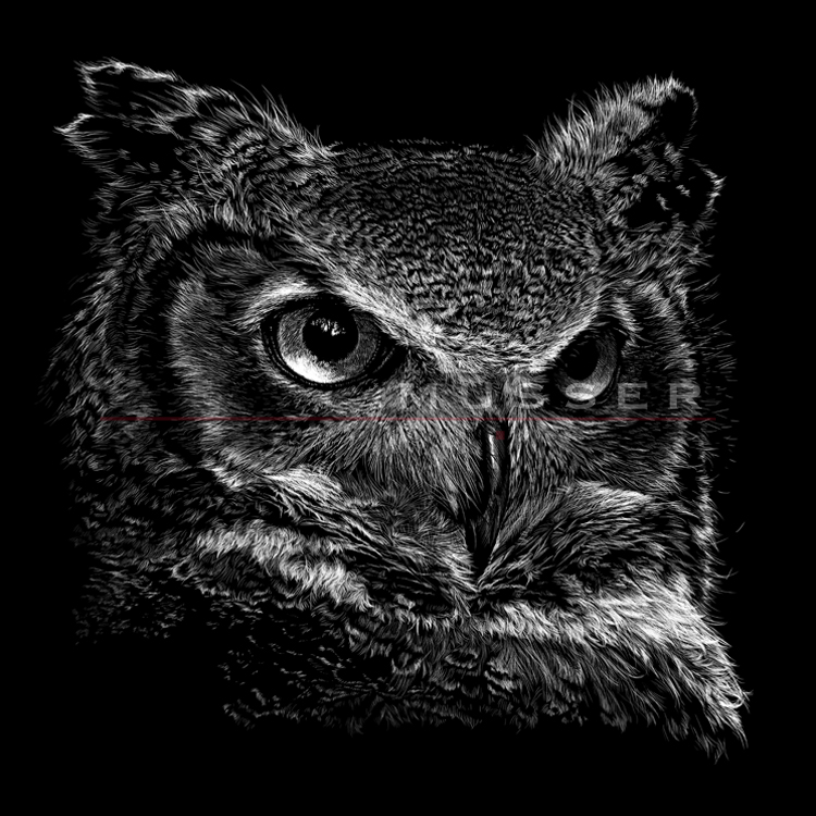 Great Horned Owl 015-1013 18" x 18" 300ppi 2017 accepted into High Arts Festival , Akron Oh 2017 *Jurors Mention 'Time Will Tell' Show, Coburn Gallery, Ashland OH 2017 *Peoples Choice ' Aquarius' Show Medina, OH 2017 Accepted into Bay Arts Juried show! Buy Now!