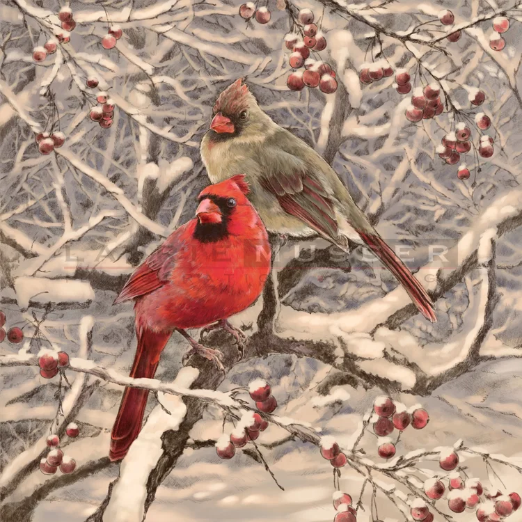 Cardinals 16" x 16" 15-1215 Buy Now! -other sizes available