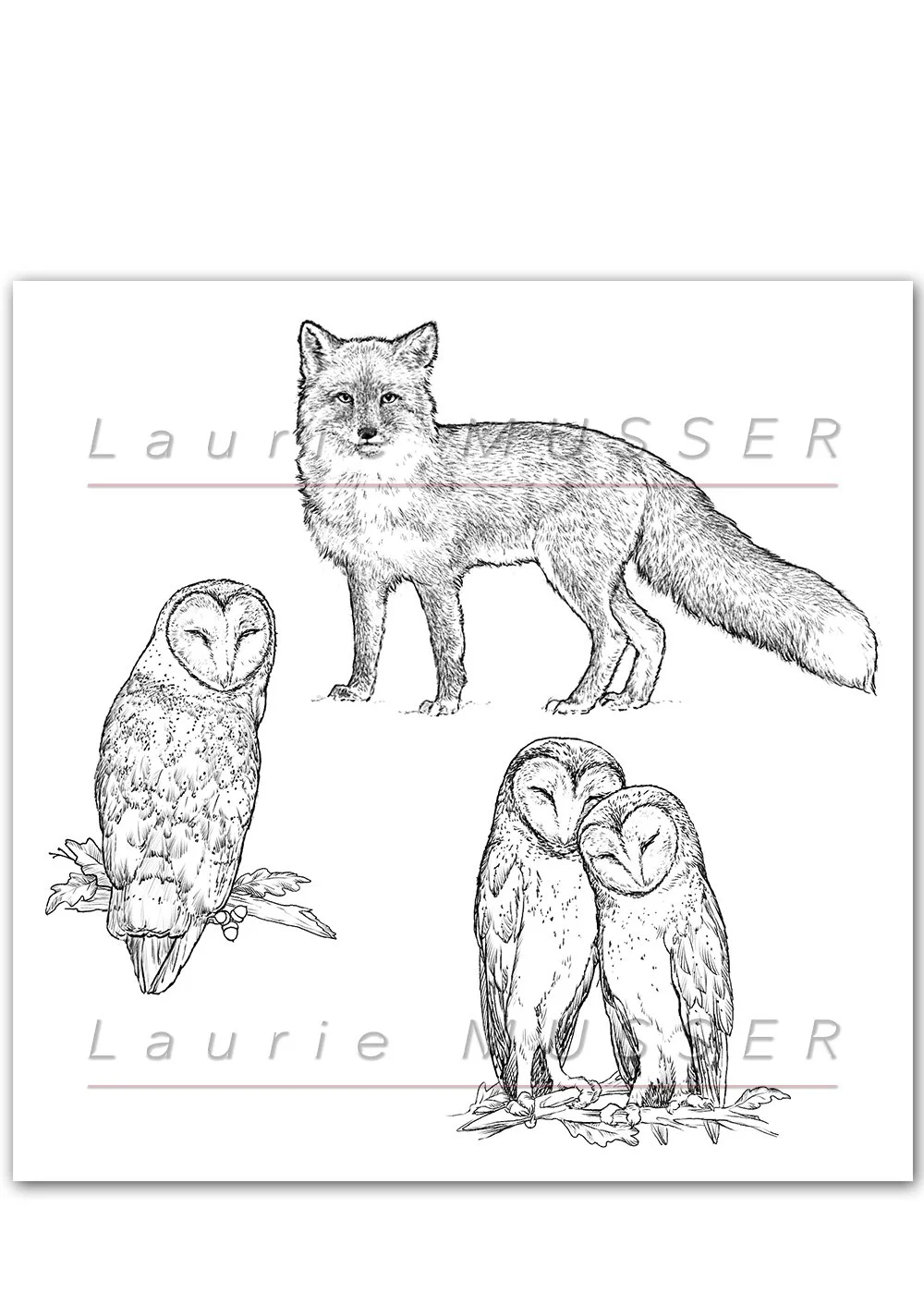 LM FoxOwls ©copyright AT HOME (Copy)