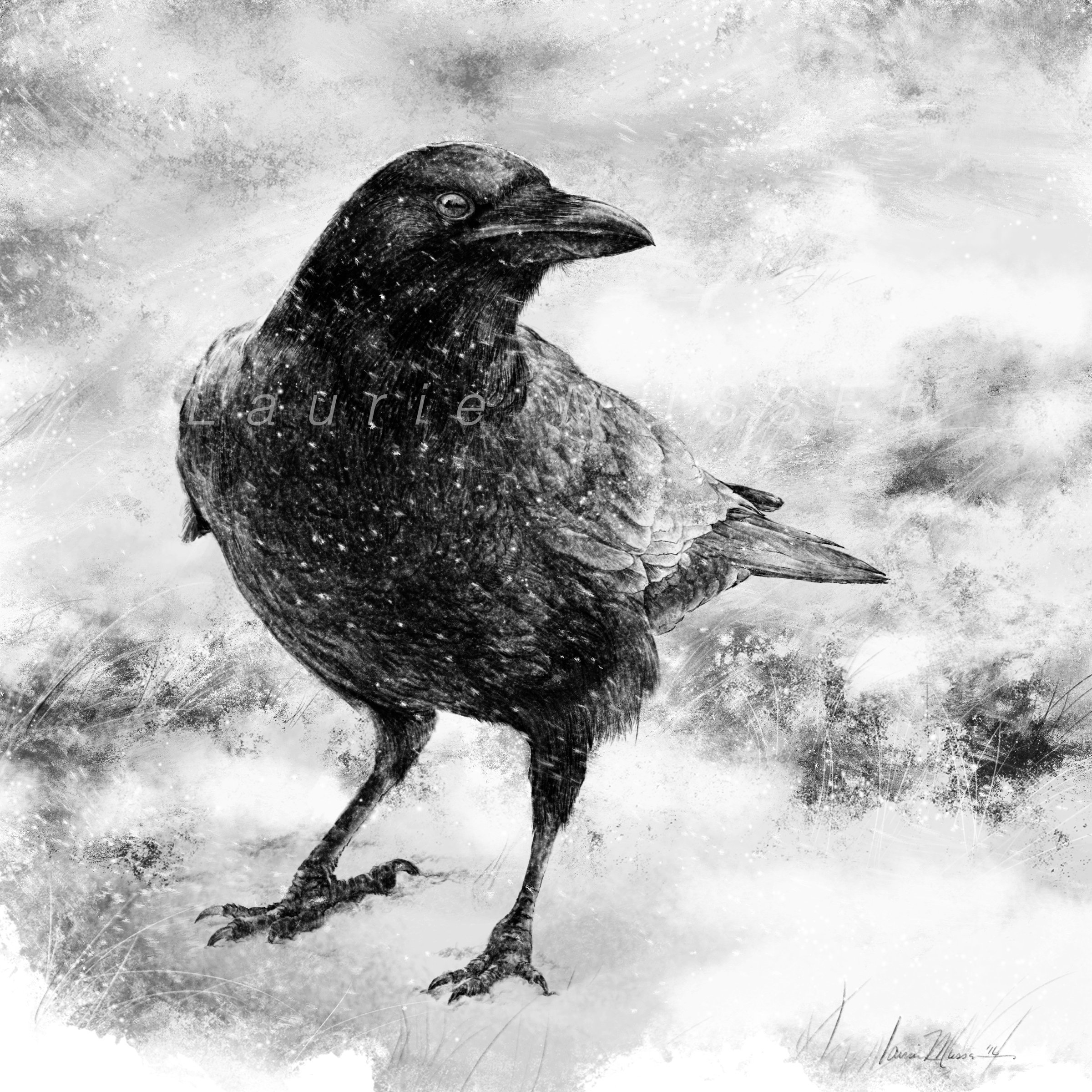  TO KNOW A CROW 
&emsp;original 8x8”
      Purchase Options    16-1006  