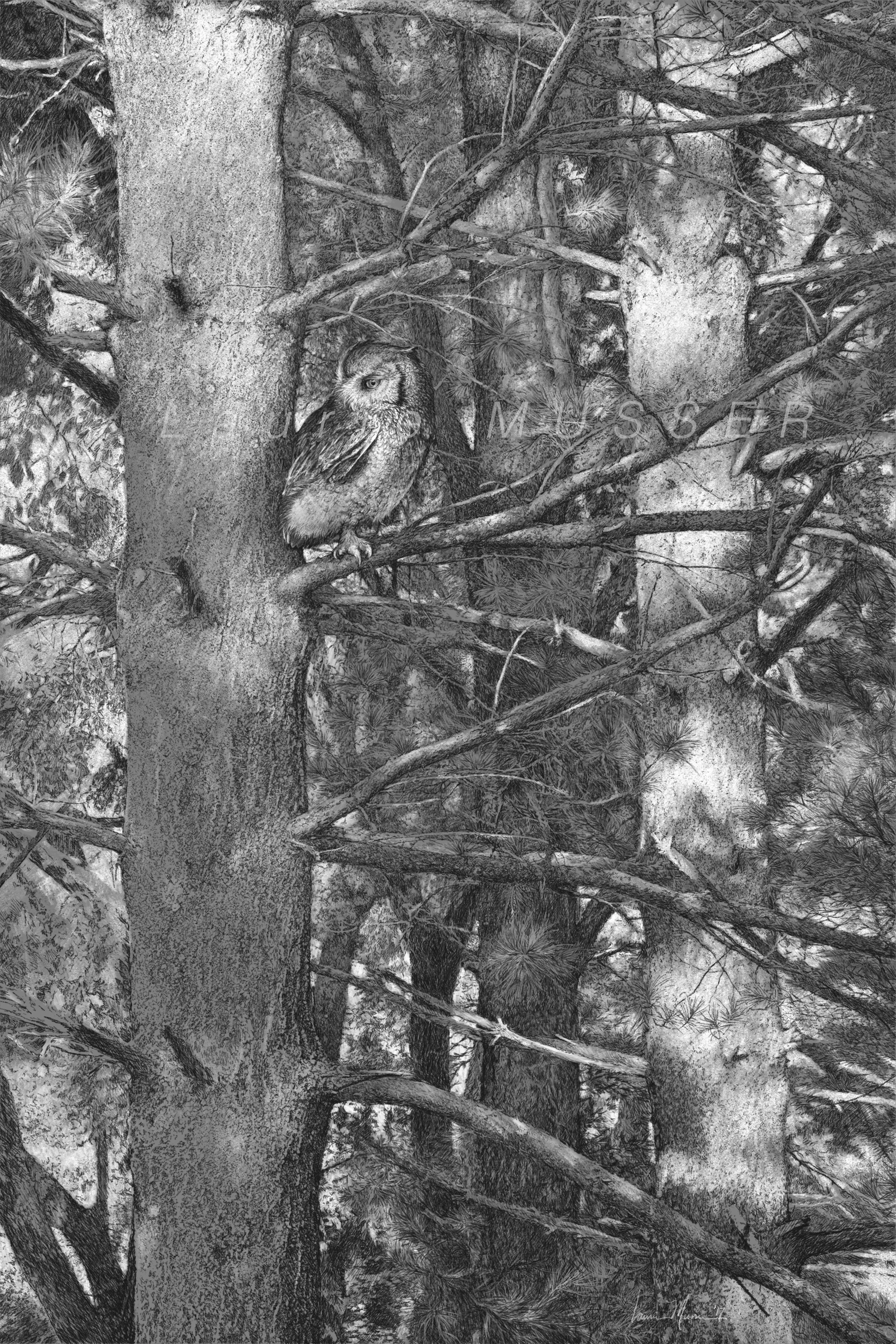  AMONG THE SHADOWS 
&emsp;original 12x18”
     2022 Best of Show  - MCAL Aquarius Juried Show  2019 Third Place Award  - Brecksville Center for the Arts-In Honor of Trees      Purchase Options    17-0321  