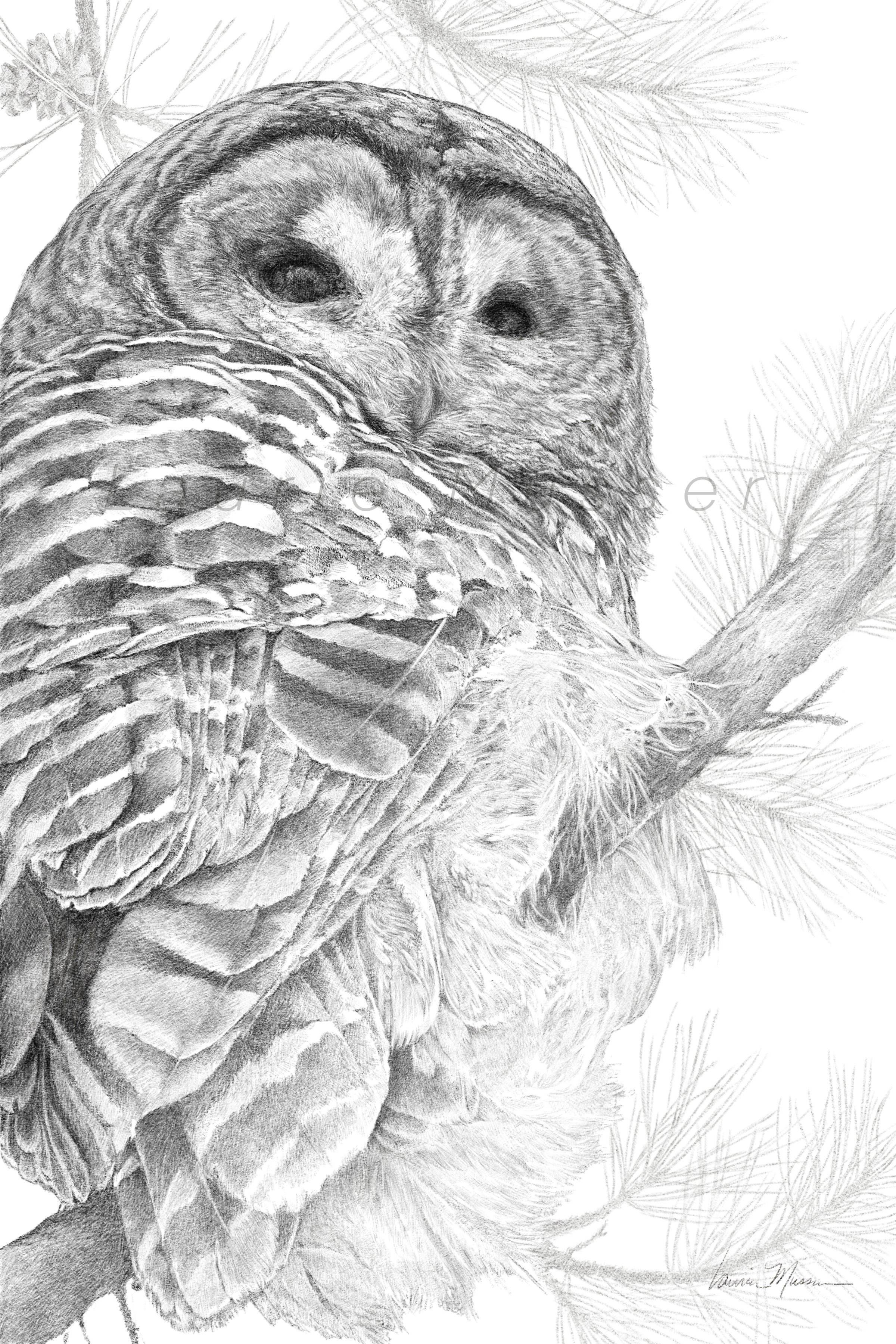  THE OVERSEER 
&emsp;original 8x12”
      Purchase Options     22-0320  