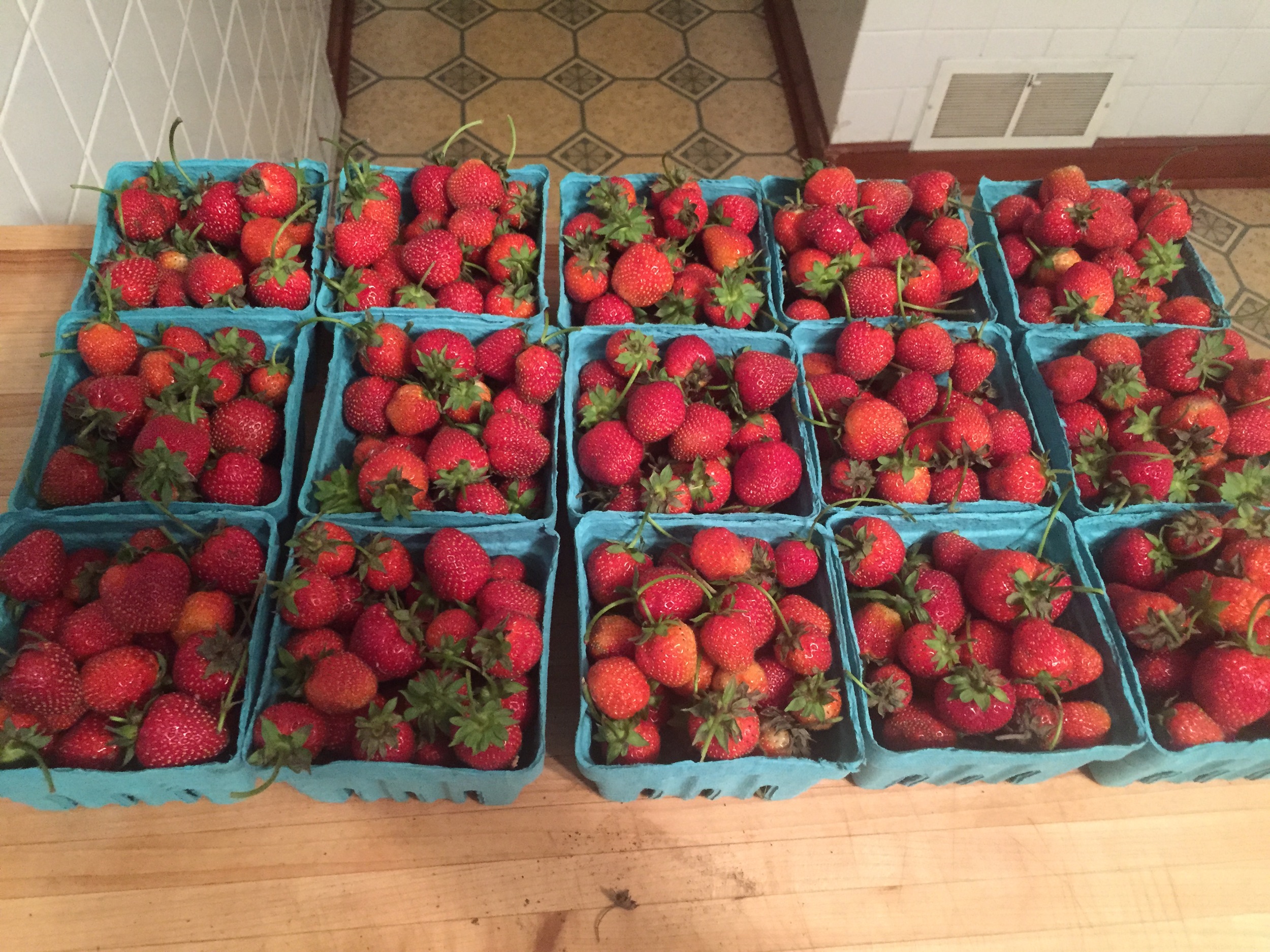  Strawberries ready to sell at the farmers market. This only half :) 