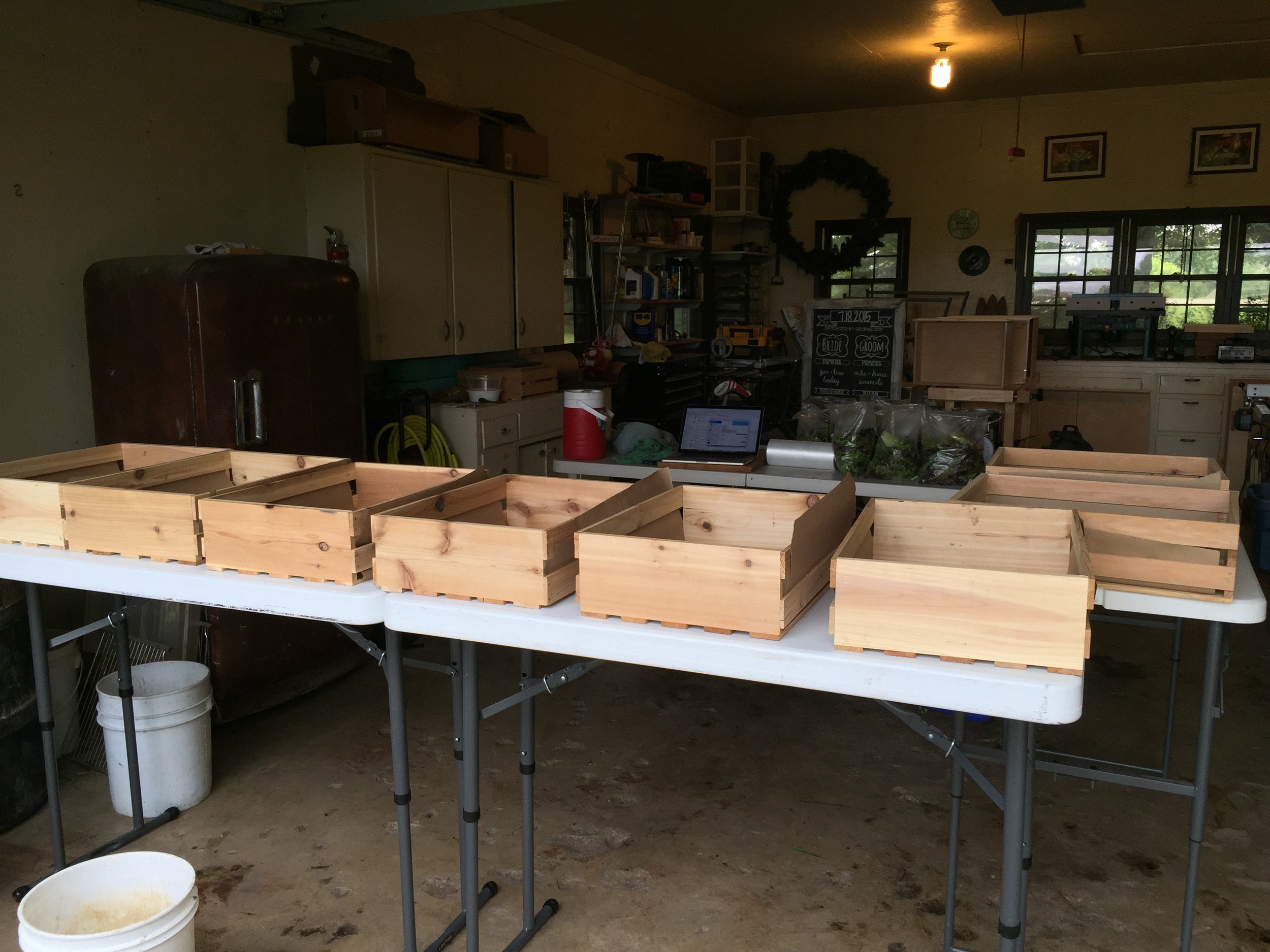  Ready to pack the CSA crates. 