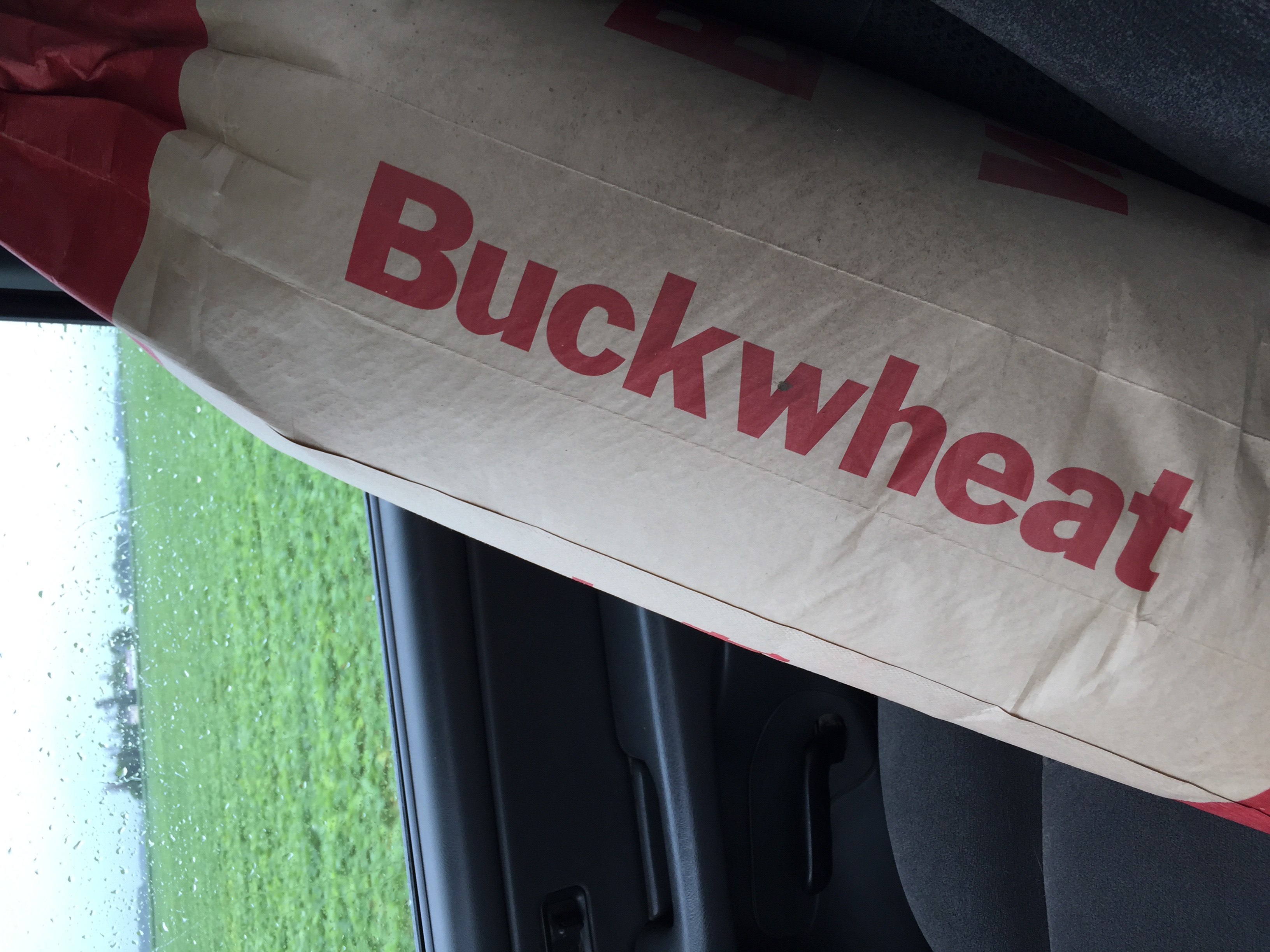  50lbs of buckwheat for cover crop. Not an excellent travel companion... ;) 