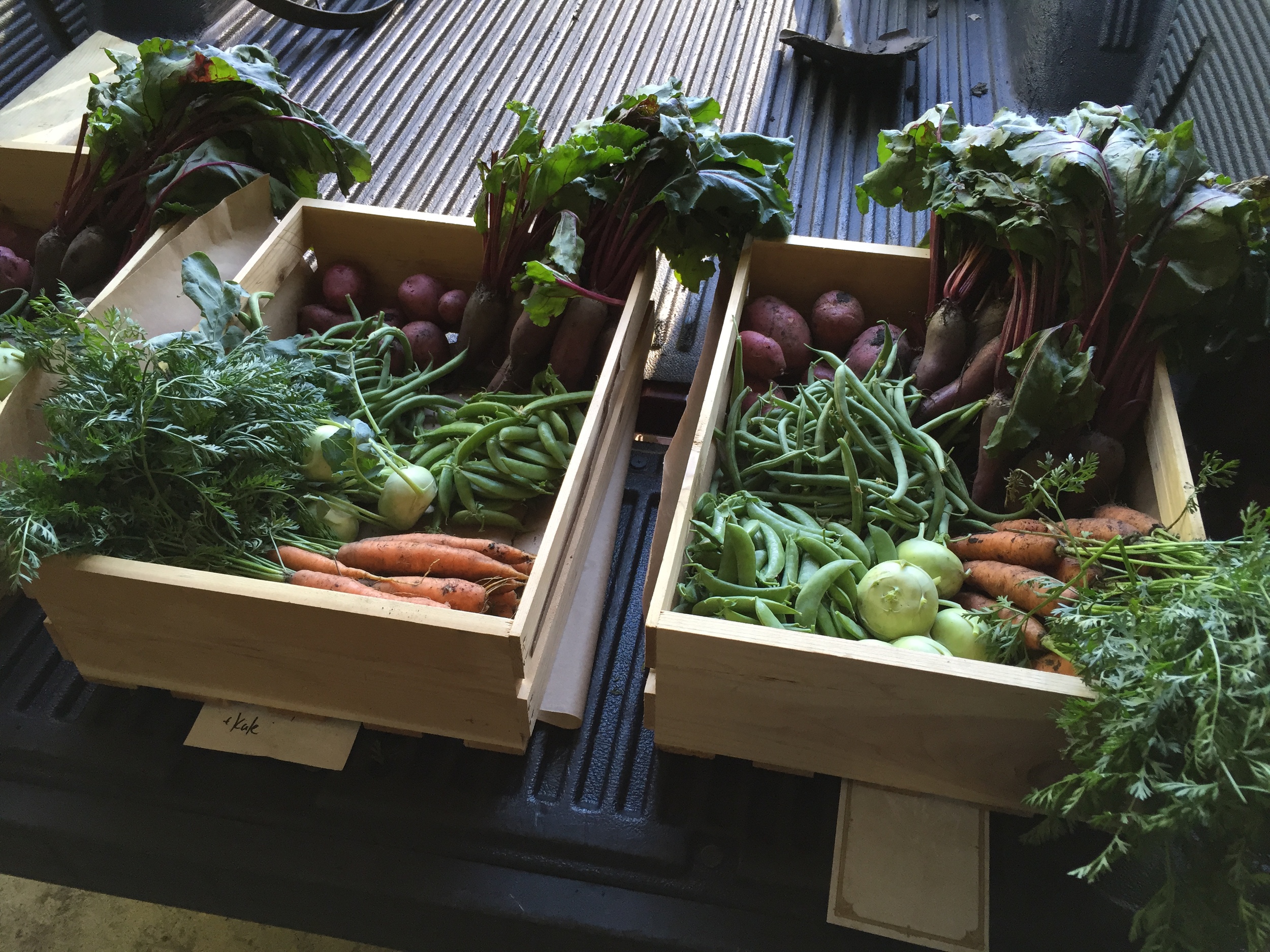  This weeks CSA delivery. 