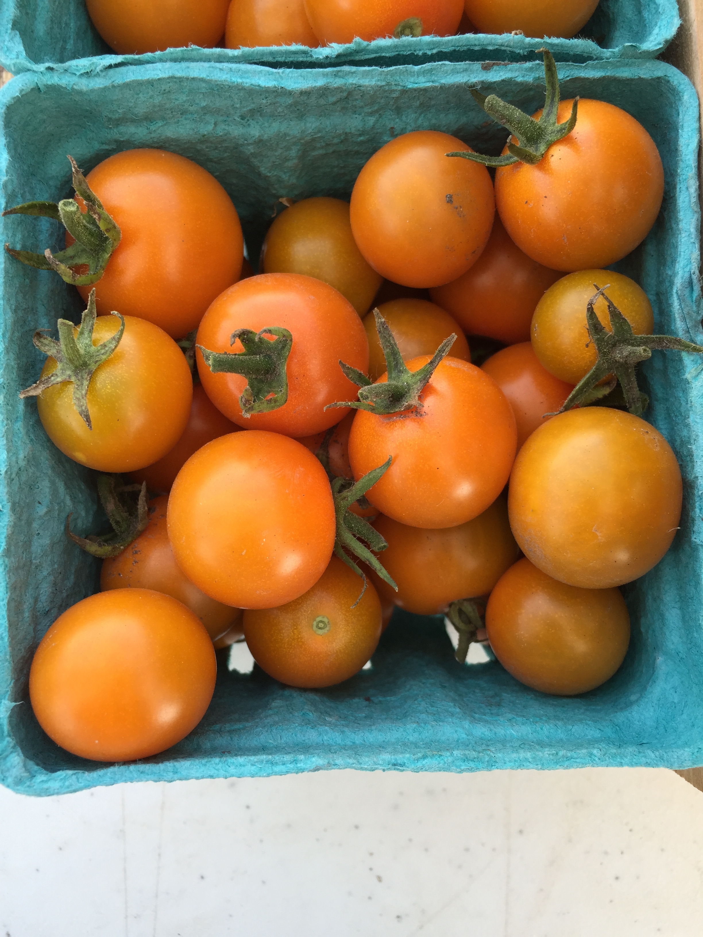  "Sun Gold" cherry tomatoes 