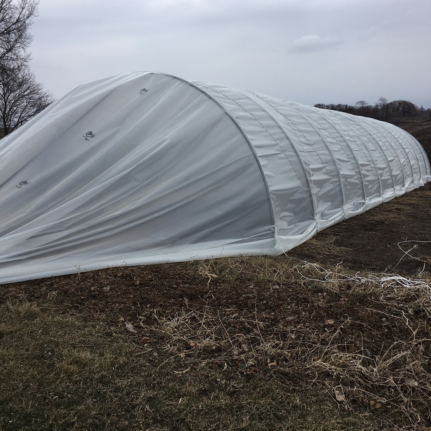 caterpillar tunnel plastic