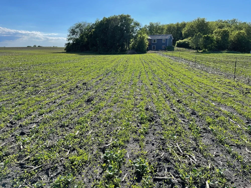 Pleasant logs Photographic Exhibit