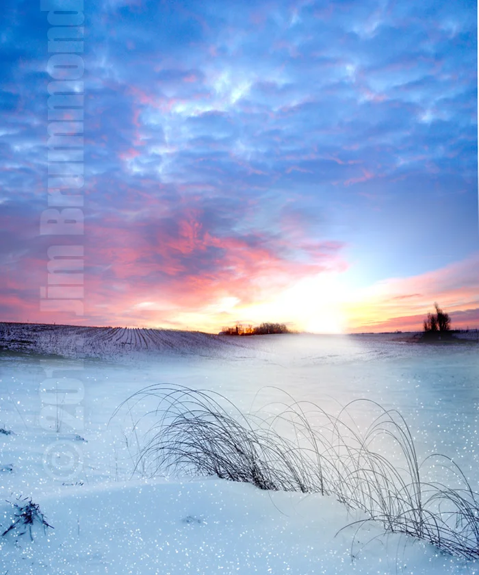 AsunRISEpic2.jpg
