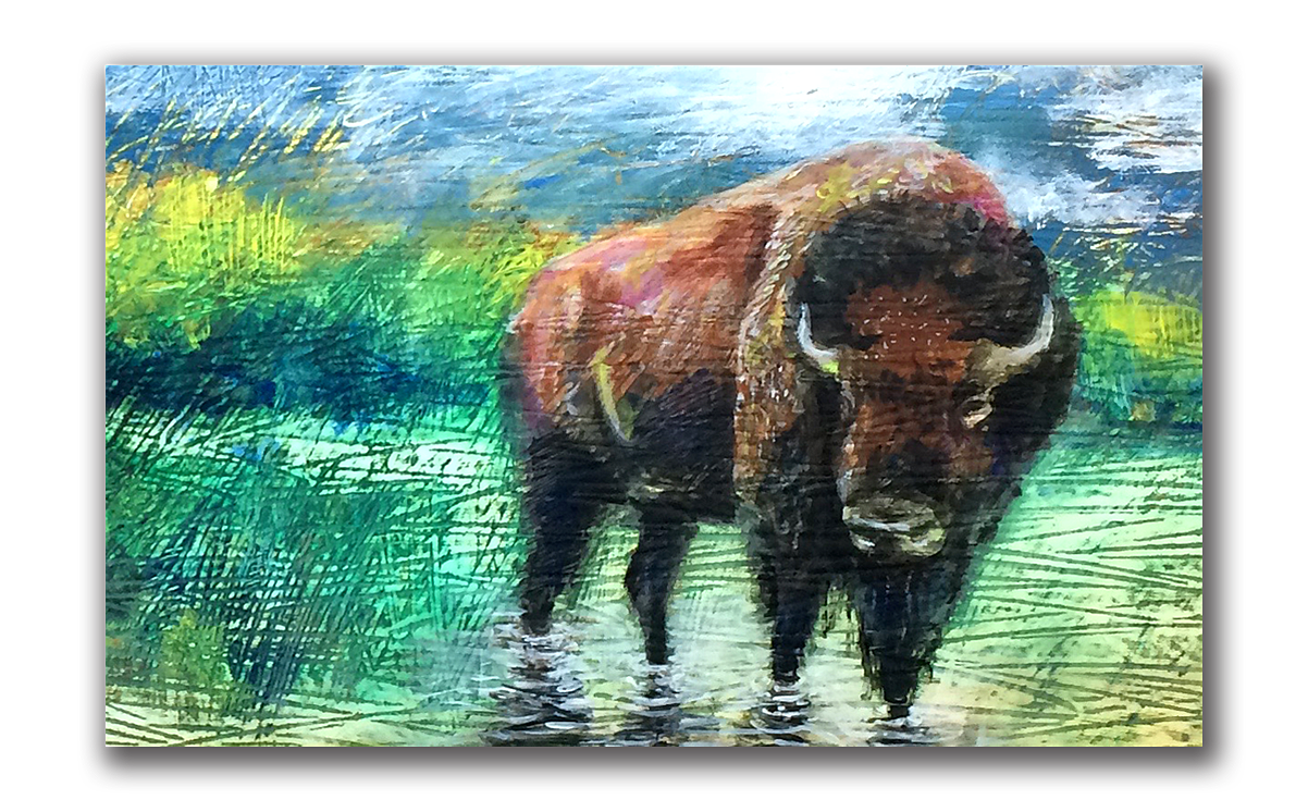 BUFFALOcrop.png