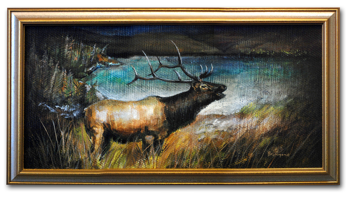 ELK1 c2015 JIM BRUMMOND.png