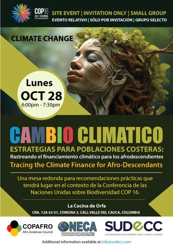 Unlocking Climate Finance for Afro-descendants | COP16 Site Event | Part I and Part I