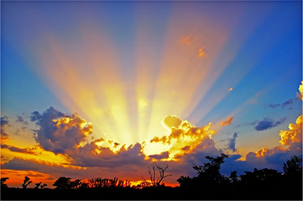 sunshine