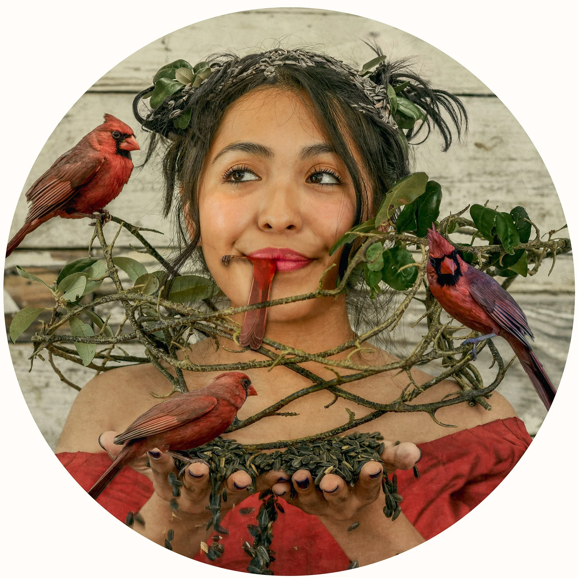 Aviary's Secret