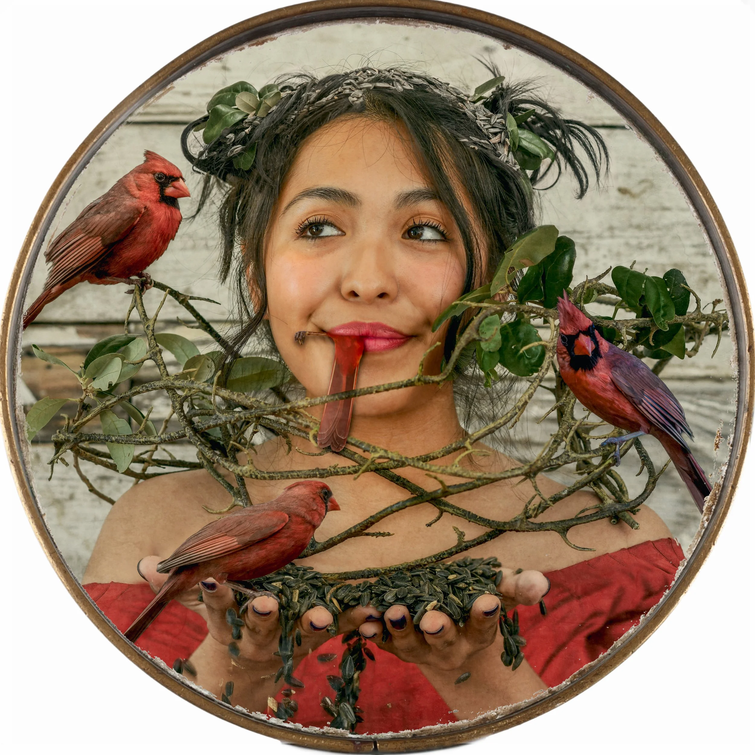 Aviary's Secret