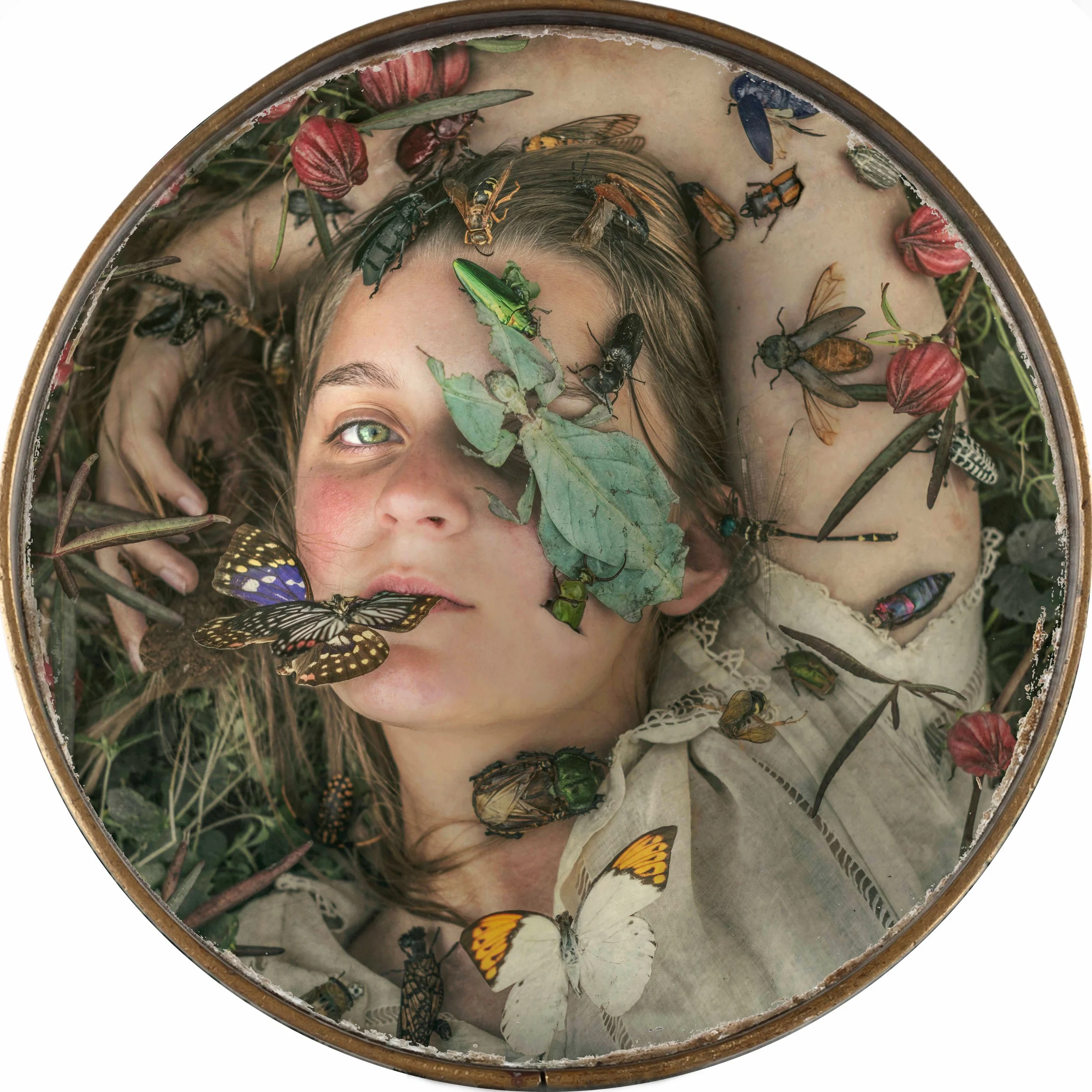 Ephemerality