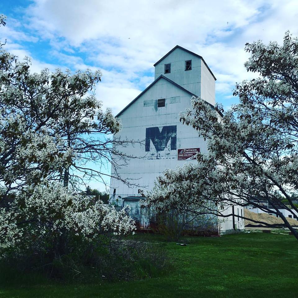 Teweles & Brandeis Granary on the working waterfront (photo: Melissa Clark)