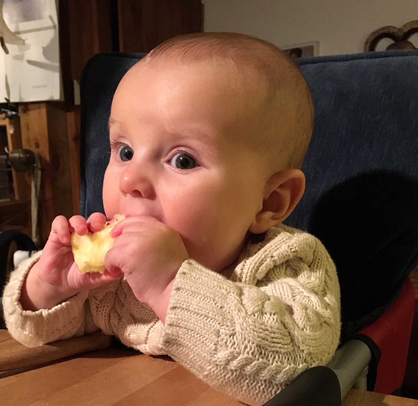 Photo: Vita at 5 months enjoying her first OFPF apple.