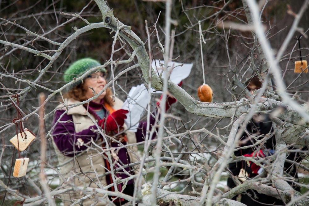 Lynn Horsky reading her wassail poem.