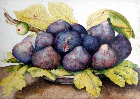 Plums and Fig Leaves, Giovanna Garzoni