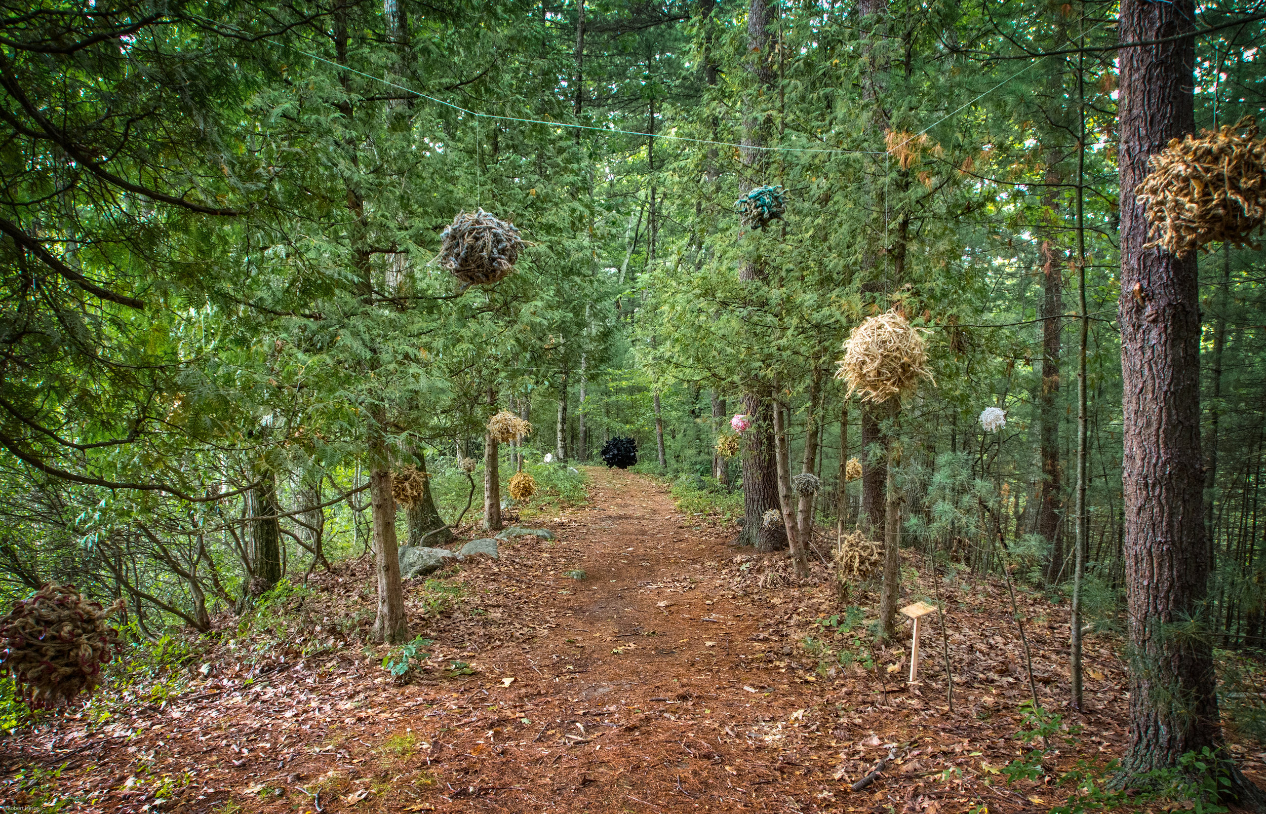 Orbs , Margot Stage