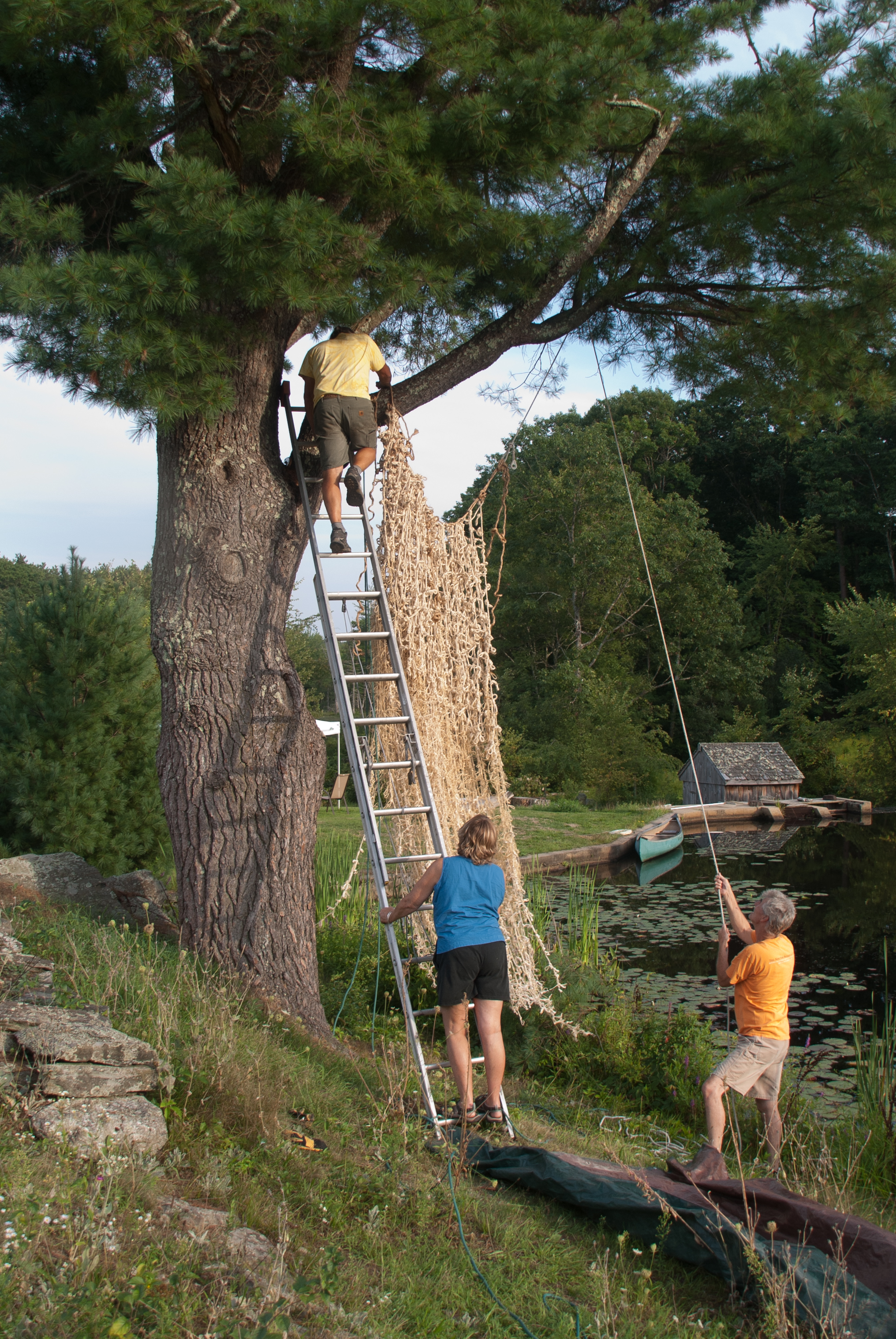 Installing Source with Margot, David Crane, & Blase Provitola in the tree.